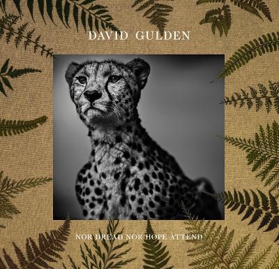 Nor dread nor hope attend - David Gulden - copertina