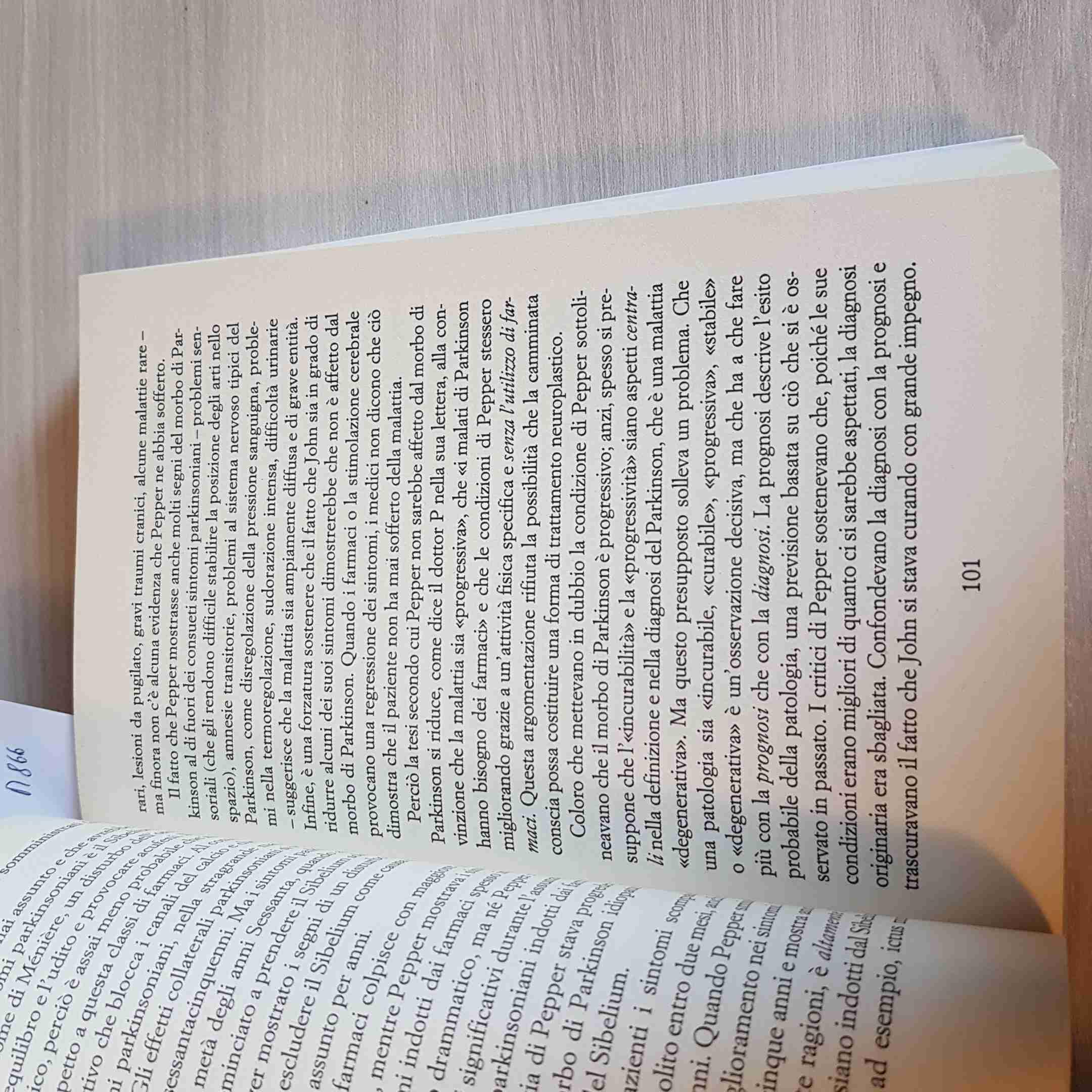 Le guarigioni del cervello. Le nuove strade della neuroplasticità: terapie rivoluzionarie che curano il nostro cervello