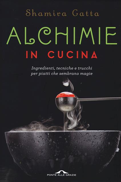 Alchimie in cucina. Ingredienti, tecniche e trucchi per piatti che sembrano magie - Shamira Gatta - ebook