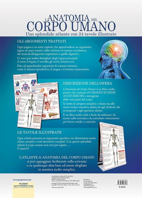 L'anatomia del corpo umano - 3