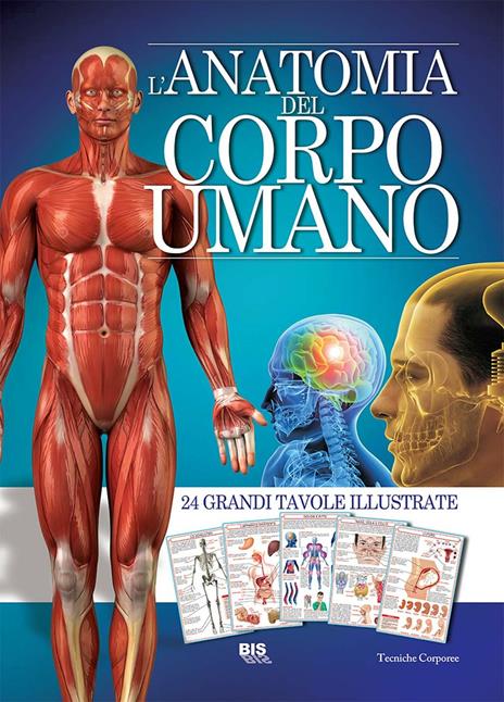 L'anatomia del corpo umano - copertina