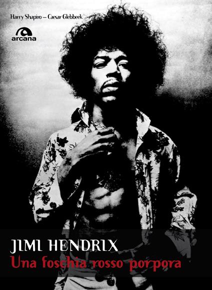 Jimi Hendrix. Una foschia rosso porpora - Caesar Glebbeek,Harry Shapiro,Antonio Vivaldi - ebook