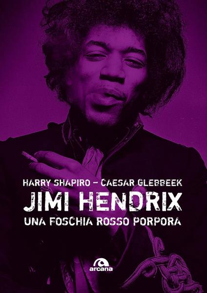 Jimi Hendrix. Una foschia rosso porpora - Harry Shapiro,Caesar Glebbeek - copertina