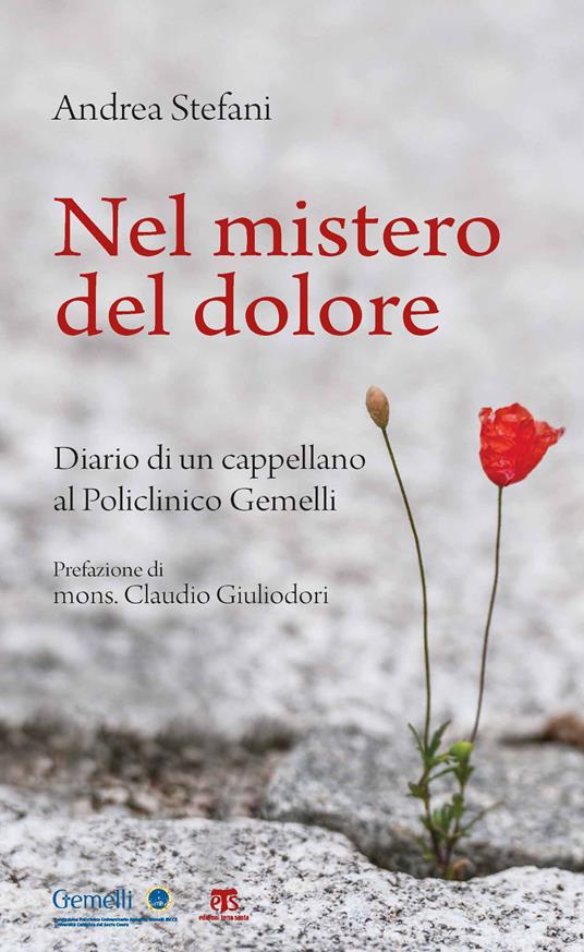 Nel mistero del dolore. Diario di un cappellano al Policlinico Gemelli - Andrea Stefani - copertina
