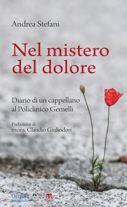 Nel mistero del dolore. Diario di un cappellano al Policlinico Gemelli - Andrea Stefani - ebook