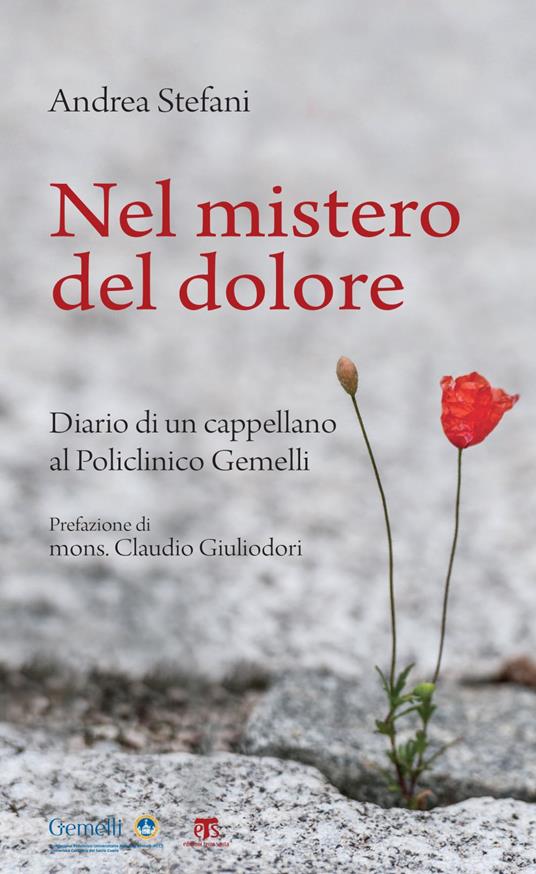 Nel mistero del dolore. Diario di un cappellano al Policlinico Gemelli - Andrea Stefani - ebook