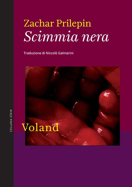 Scimmia nera - Zachar Prilepin,N. Galmarini - ebook