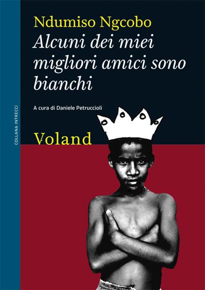 Alcuni dei miei migliori amici sono bianchi (considerazioni eversive di un guerriero zulurbano) - Ndumiso Ngcobo,Daniele Petruccioli - ebook