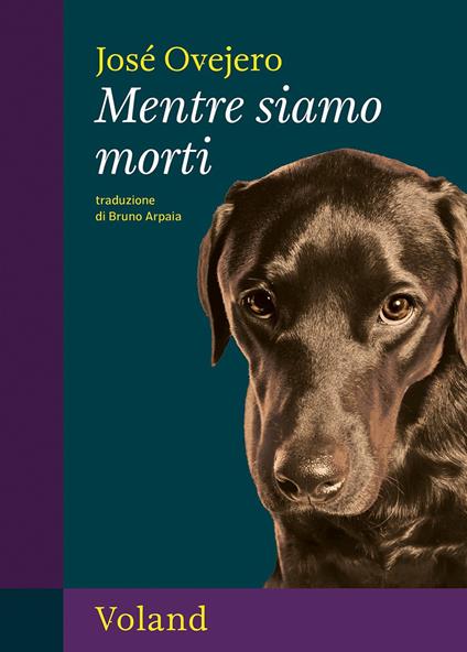 Mentre siamo morti - José Ovejero - copertina