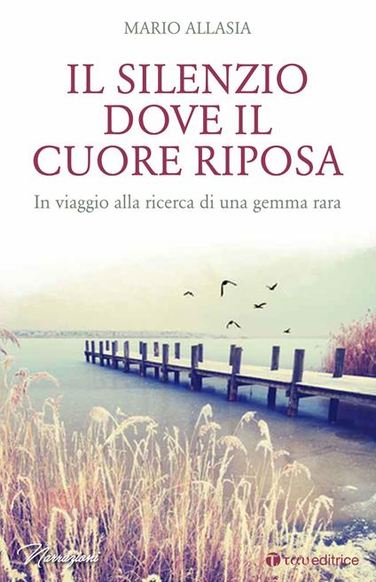 Il silenzio dove il cuore riposa. In viaggio alla ricerca di una gemma rara - Mario Allasia - copertina