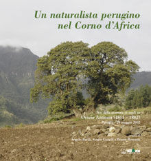 Libreria Bortoloso