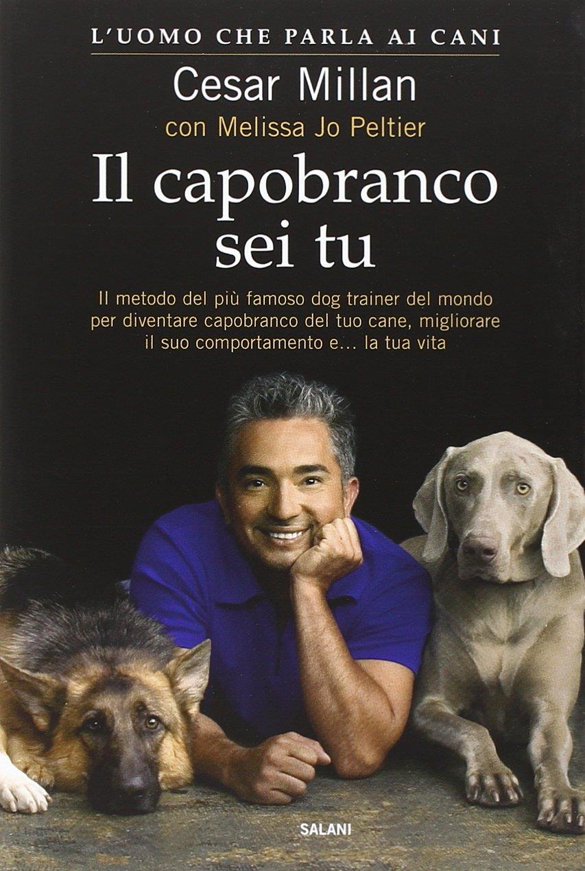Multibook