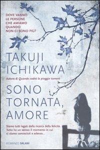 Sono tornata, amore - Takuji Ichikawa - copertina