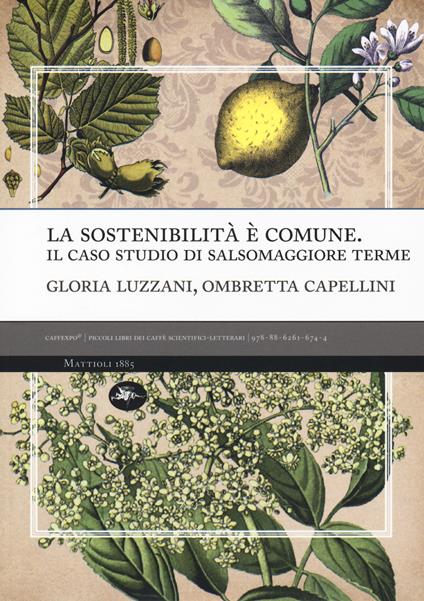 La sostenibilità è comune. Il caso studio di Salsomaggiore terme - Gloria Luzzani,Ombretta Capellini - copertina