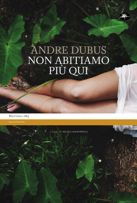 Non abitiamo più qui - Andre Dubus,Nicola Manuppelli,Gian Fulvio Nori - ebook