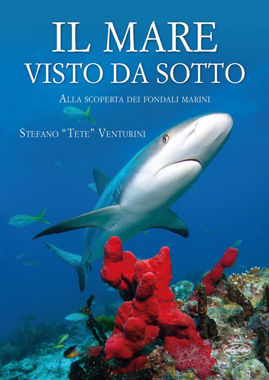Il mare visto da sotto. Alla scoperta dei fondali marini - Stefano "Tete" Venturini - copertina