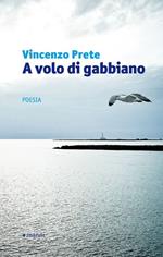 A volo di gabbiano