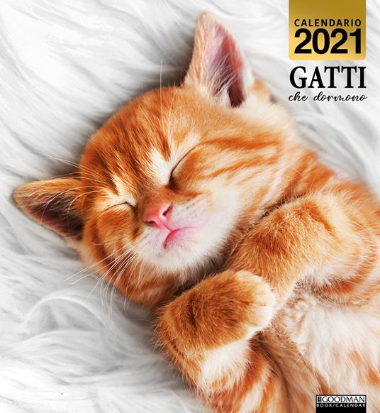 Gatti che dormono. Calendario 2021 - copertina