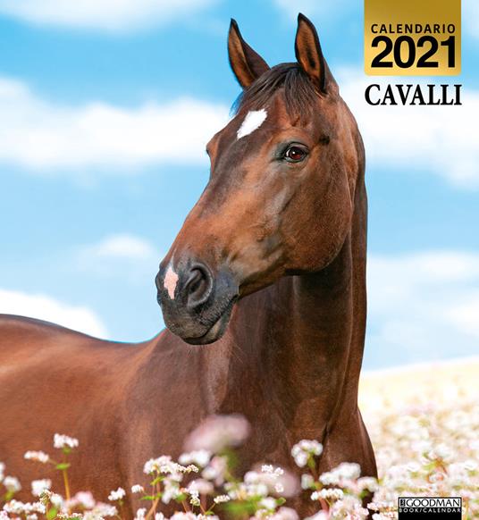 Cavalli. Calendario 2021 - copertina
