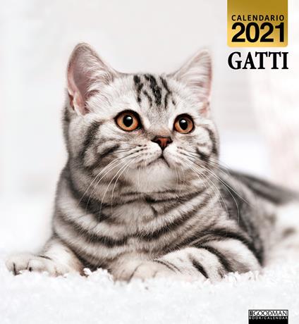 Gatti. Calendario 2021 - copertina