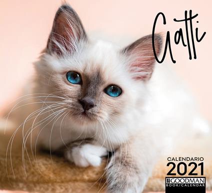 Gatti. Calendario 2021 - copertina