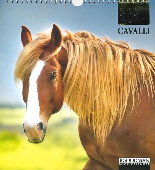 Cavalli. Calendario 2024 - copertina