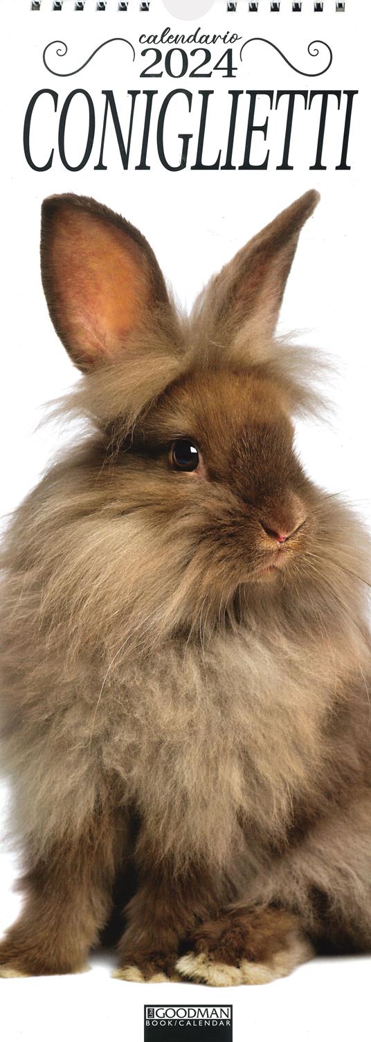 Coniglietti. Calendario 2024 - copertina