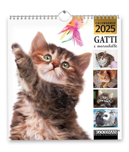 Gatti e marachelle. Calendario 2025 - copertina