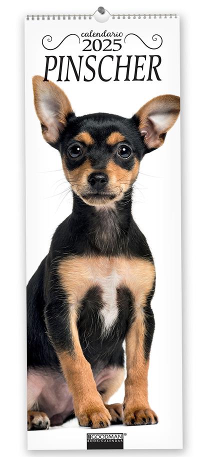 Pinscher. Calendario 2025. Long - copertina
