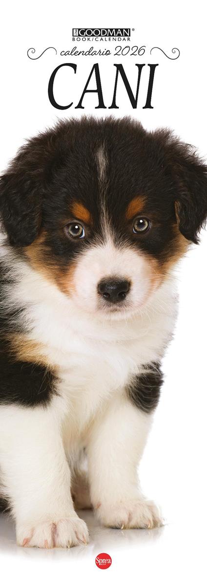 Cani. Calendario 2026. Long - copertina