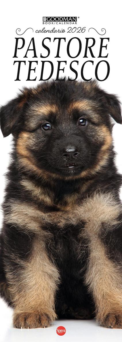 Pastore tedesco. Calendario 2026. Long - copertina