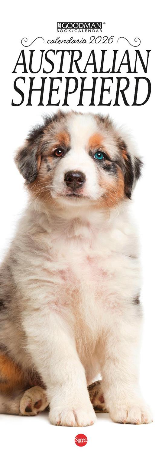 Australian shepherd. Calendario 2026. Long - copertina