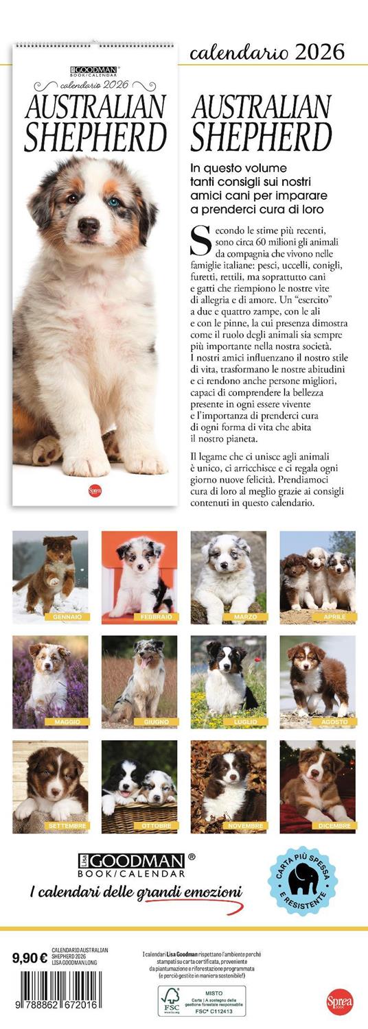 Australian shepherd. Calendario 2026. Long - 3