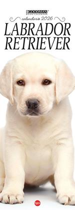 Labrador Retriever. Calendario 2026. Long