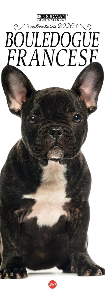 Bouledogue francese. Calendario 2026 Long - copertina