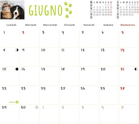 Calendario Cani & Gatti 2026 Pocket - 4