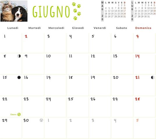 Calendario Cani & Gatti 2026 Pocket - 4