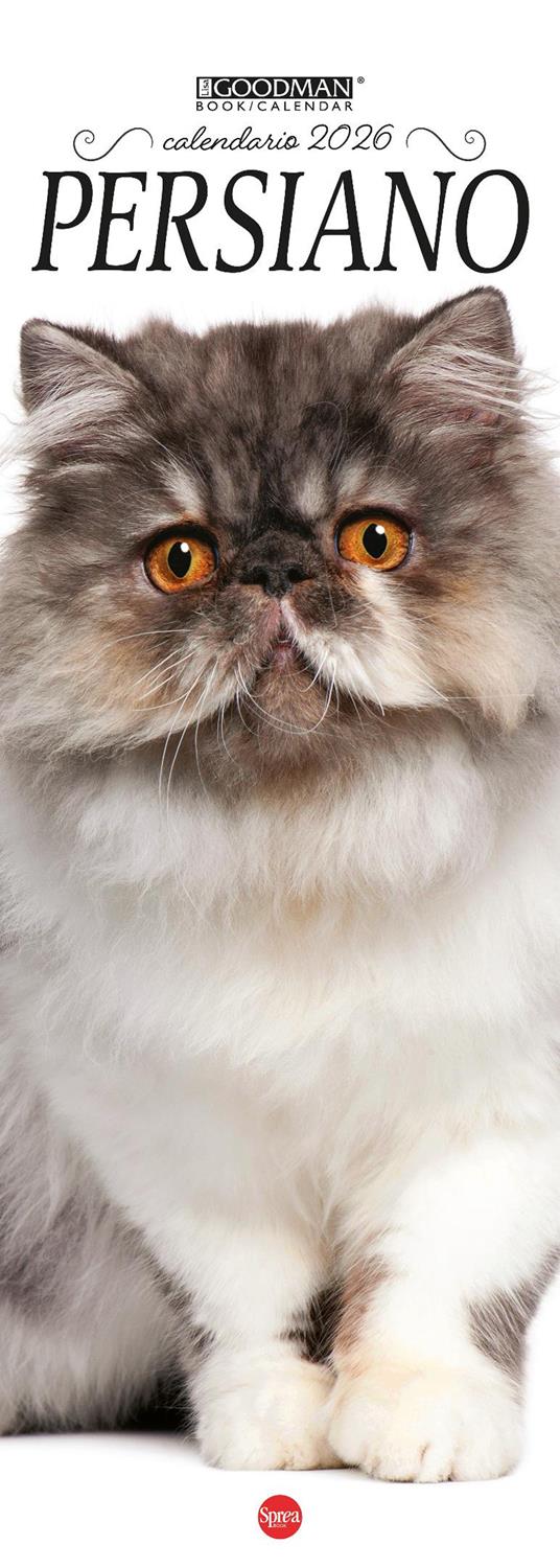 Persiano. Calendario 2026. Long - copertina