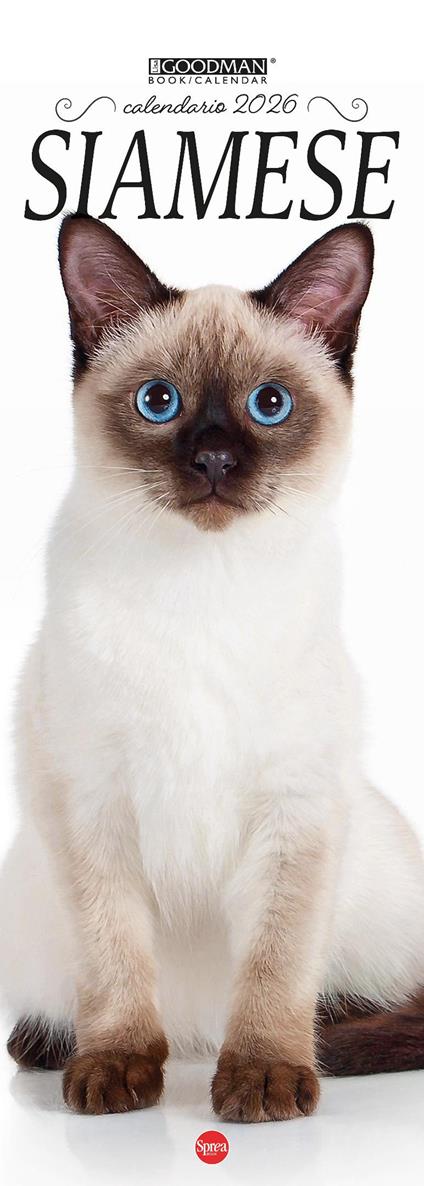 Siamese. Calendario 2026. Long - copertina