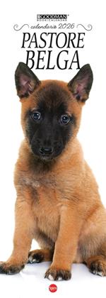 Pastore belga Malinois. Calendario 2026. Long