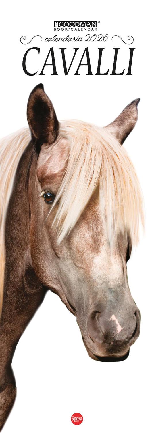 Cavalli. Calendario Argos Compiega 2026. Long - copertina