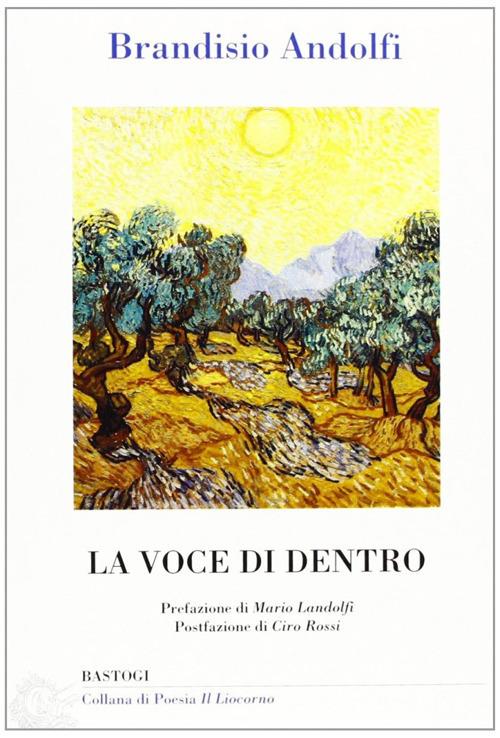 La voce di dentro - Brandisio Andolfi - copertina