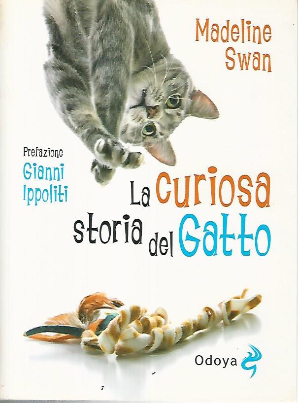 Librisaggi