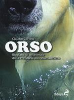 Orso. Biografia di un animale dalla preistoria allo sciamanesimo