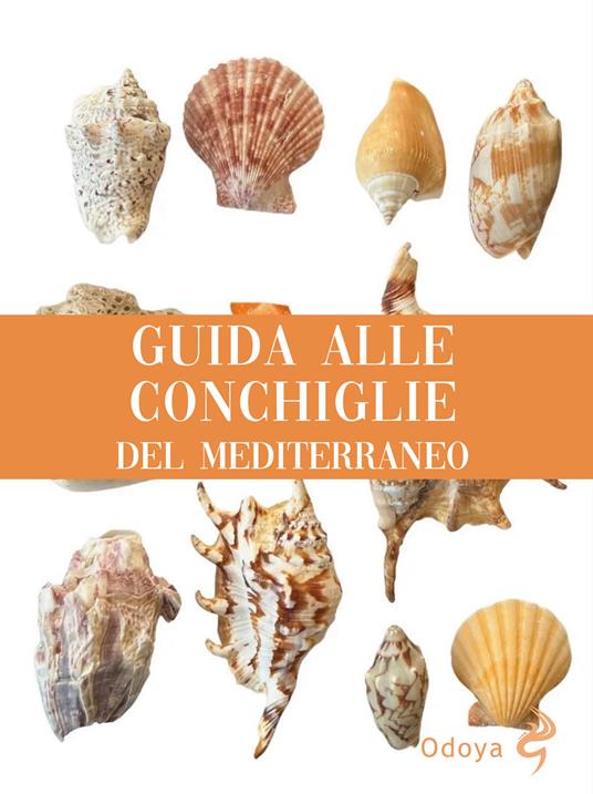 Guida alle conchiglie del Mediterraneo - copertina