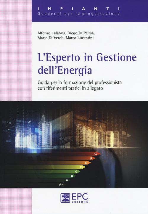 L'esperto in gestione dell'energia. Guida per la formazionre del professionista con riferimenti pratici in allegato - Alfonso Calabria,Diego Di Palma,Mario Di Veroli - copertina