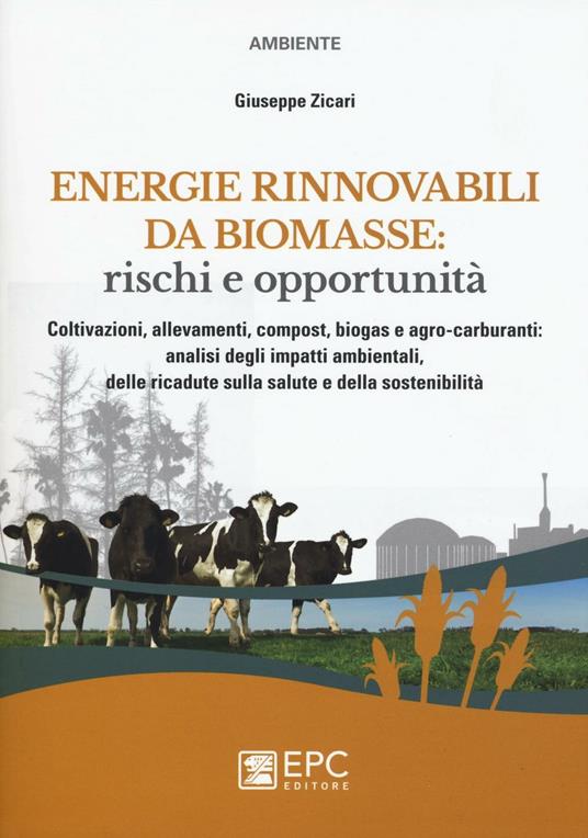 Energie rinnovabili da biomasse: rischi e opportunità. Coltivazioni, allevamenti, compost, biogas e agro-carburanti: analisi degli impatti ambientali... - Giuseppe Zicari - copertina