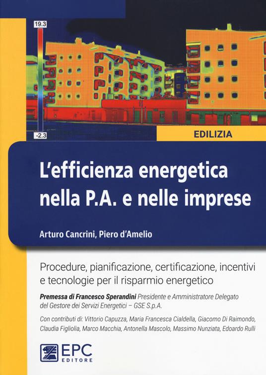 L' efficienza energetica nella P.A. e nelle imprese. Nuova ediz. - Arturo Cancrini,Piero D'Amelio - copertina