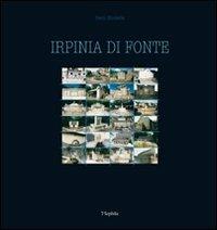 Irpinia di fonte - Dario Nicolella - copertina