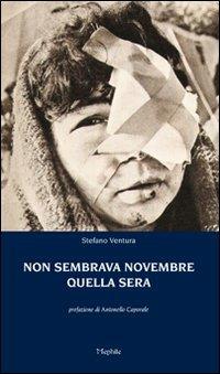 Non sembrava novembre quella sera - Stefano Ventura - copertina